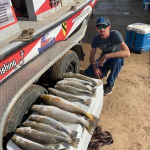 Meet your Posher, Hunter